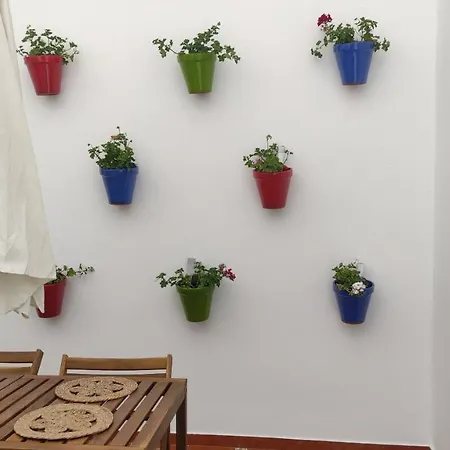 El Rincon De Madera - Centrico En Conil Apartman *